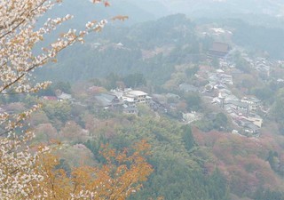 名称未設定 2.jpg
