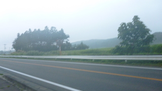 P1000606.jpg