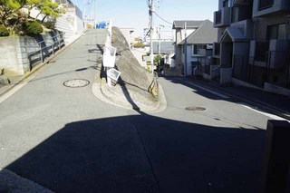_IGP7118.jpg